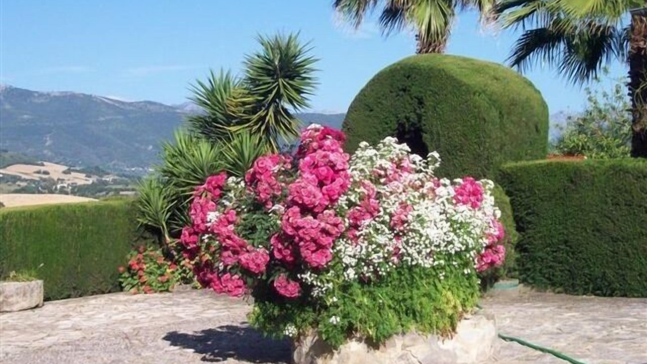 Photo of Outdoor in Prado del Rey