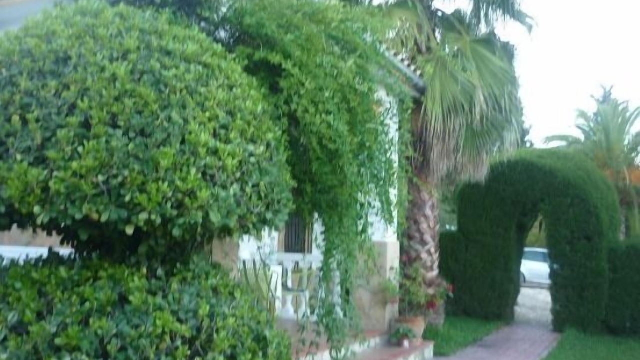 Photo of Outdoor in Prado del Rey