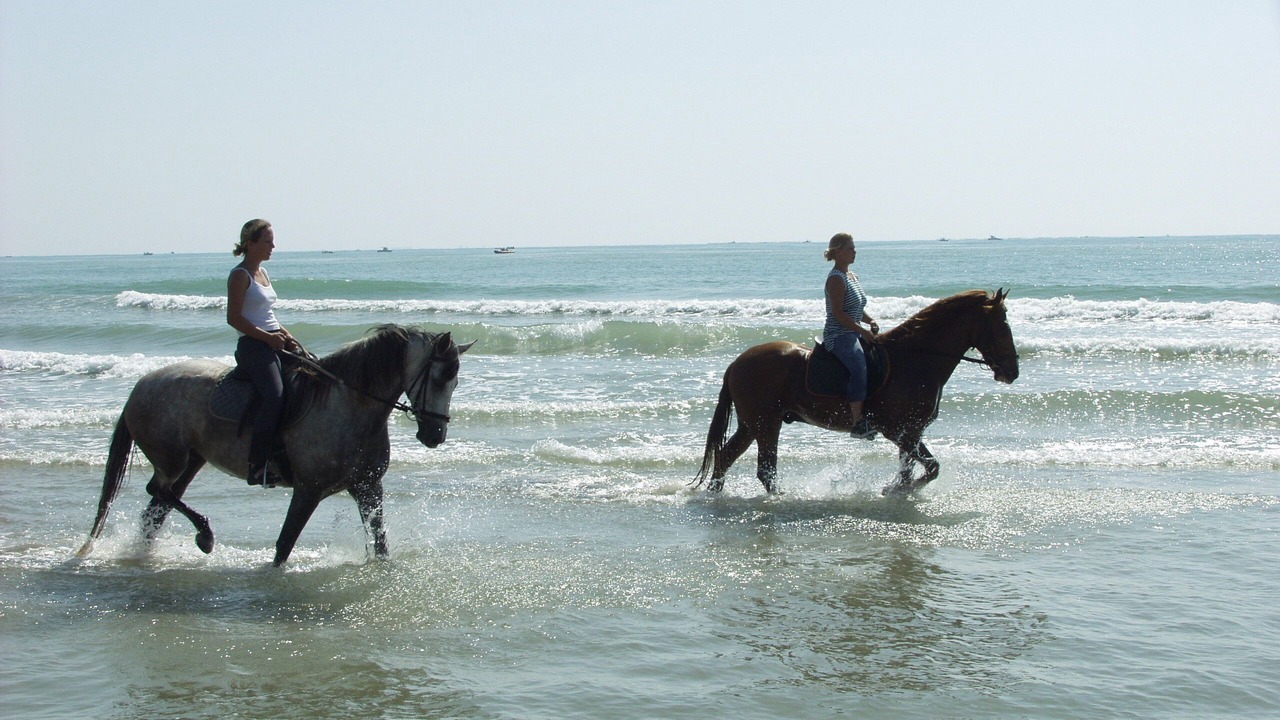 Photo of Others in El Moncayo