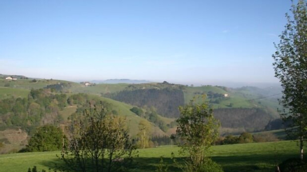 Photo of Others in Olaskoegia