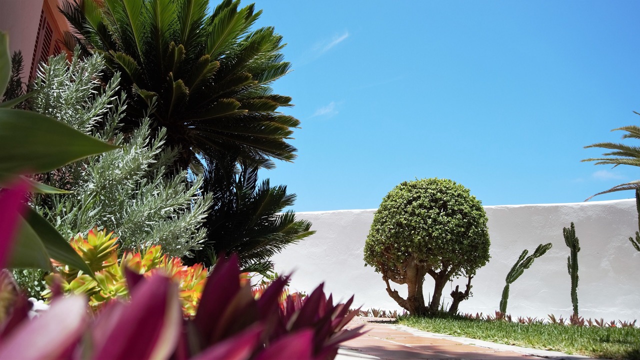 Photo of Outdoor in Costa Adeje