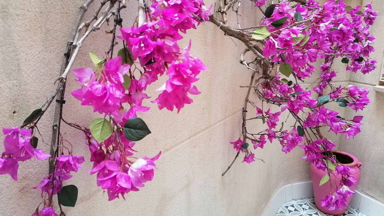 Photo of Outdoor in La Merced