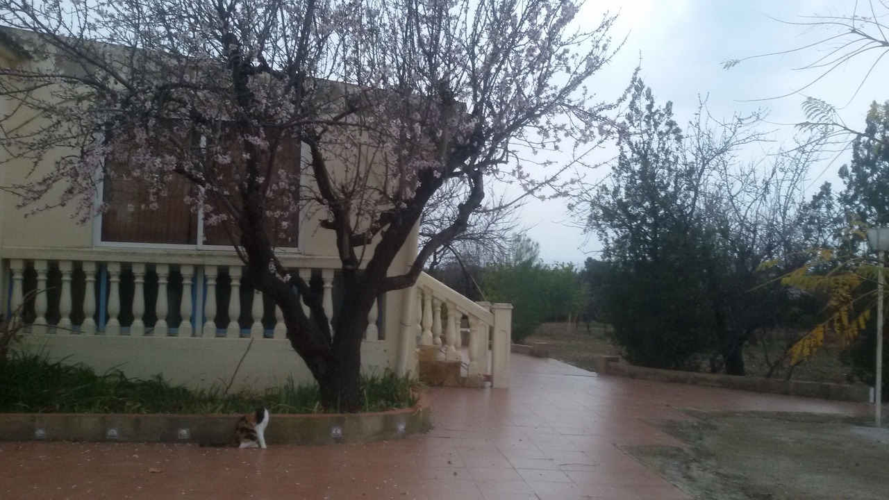 Photo of Outdoor in Godelleta