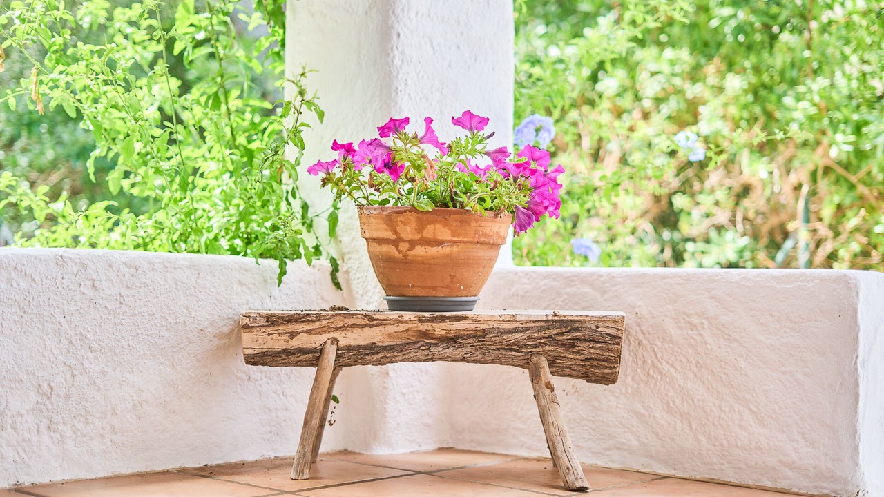 Photo of Outdoor in Portopetro