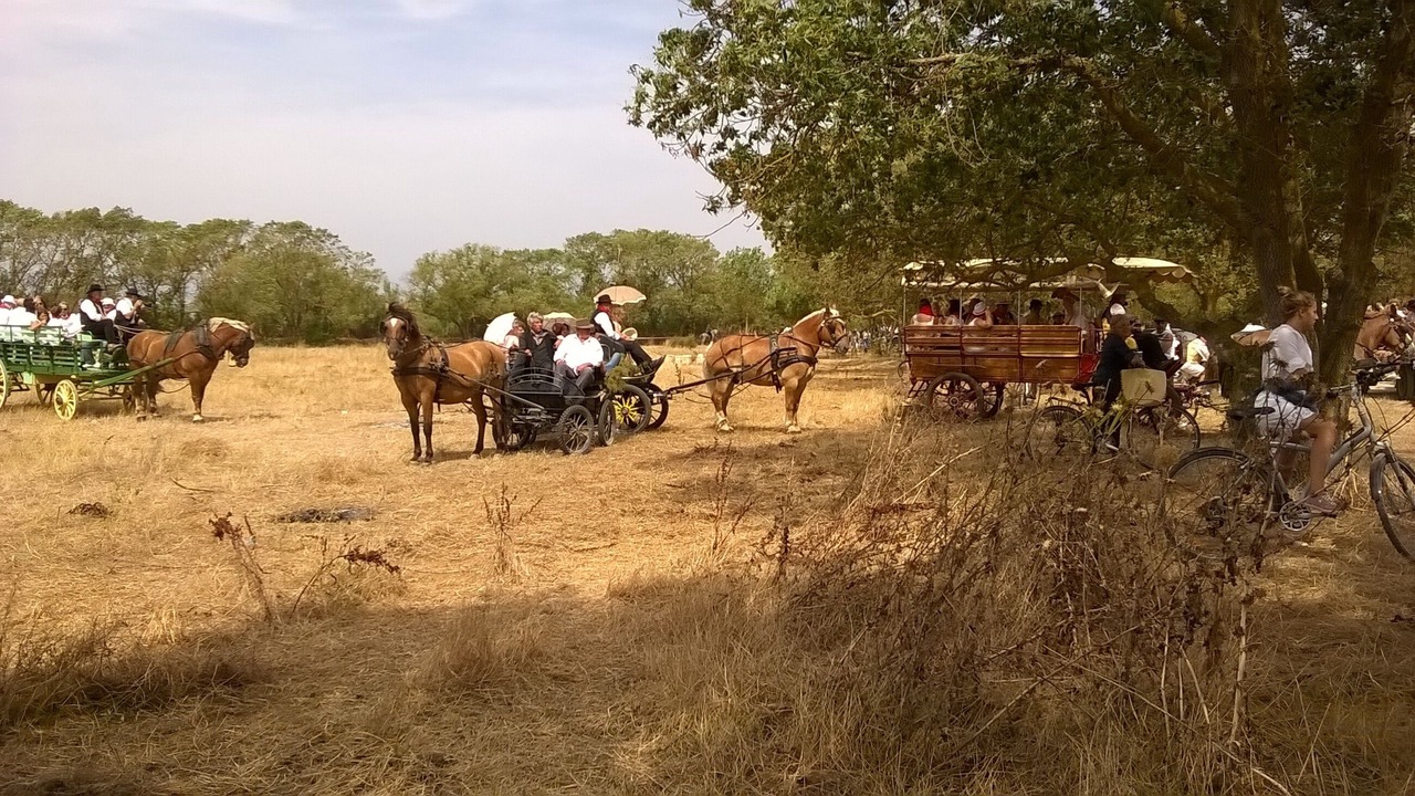 Photo of Outdoor in Marsillargues