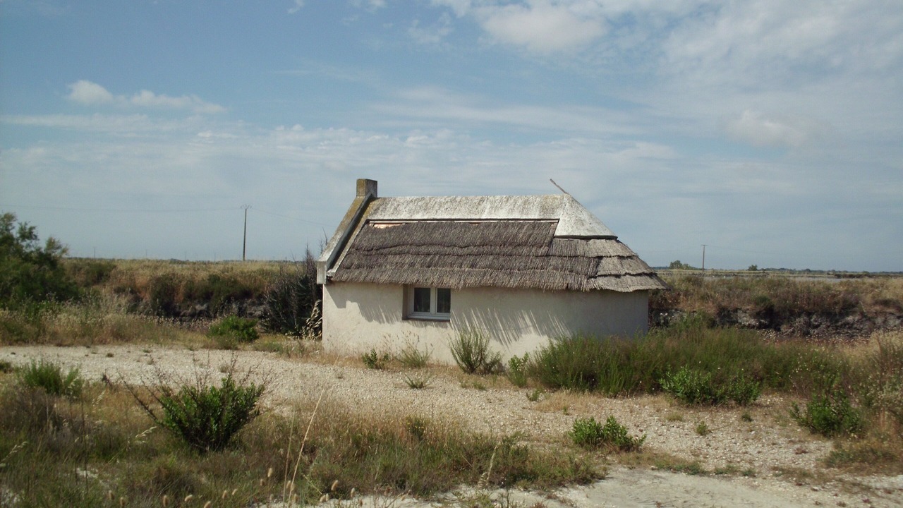 Photo of Outdoor in Marsillargues