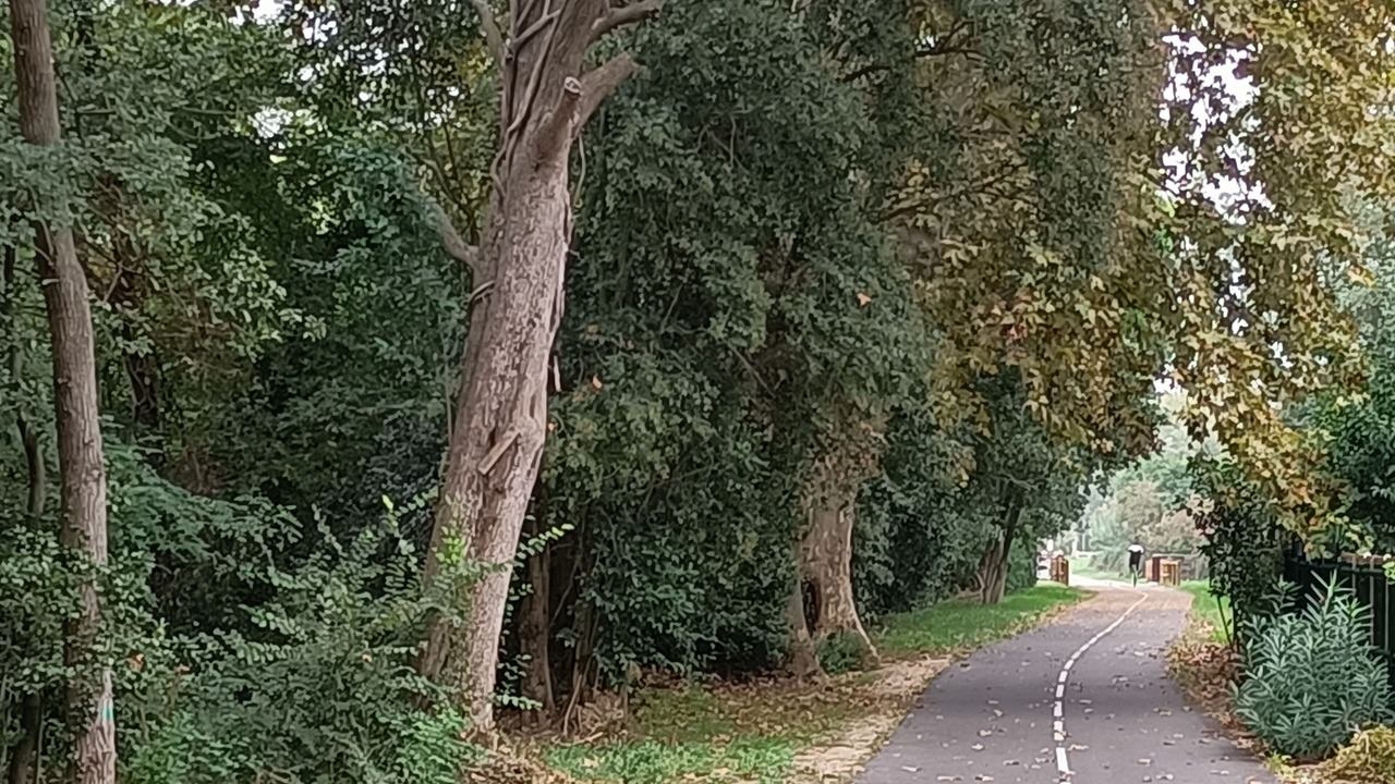 Photo of Outdoor in Marsillargues