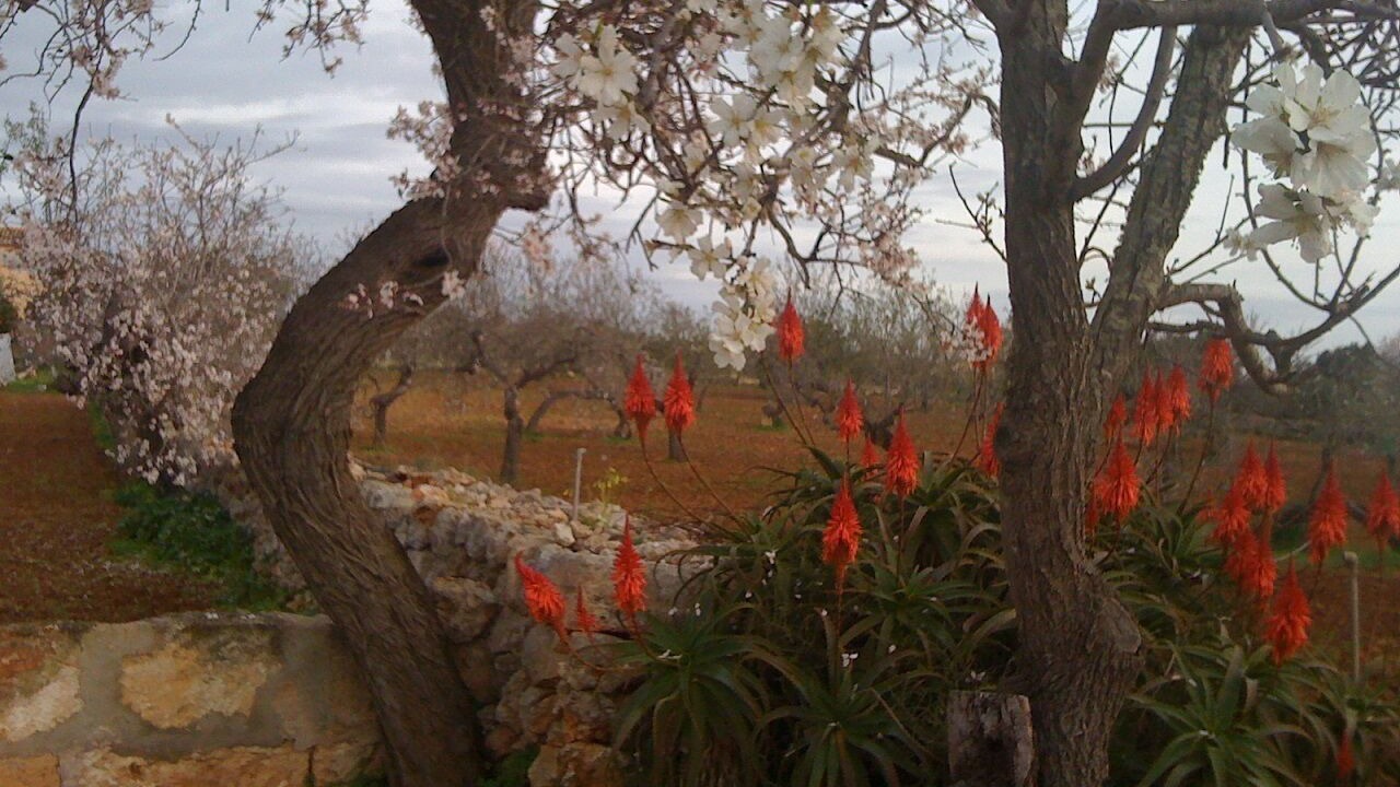 Photo of Outdoor in Porto Cristo Novo