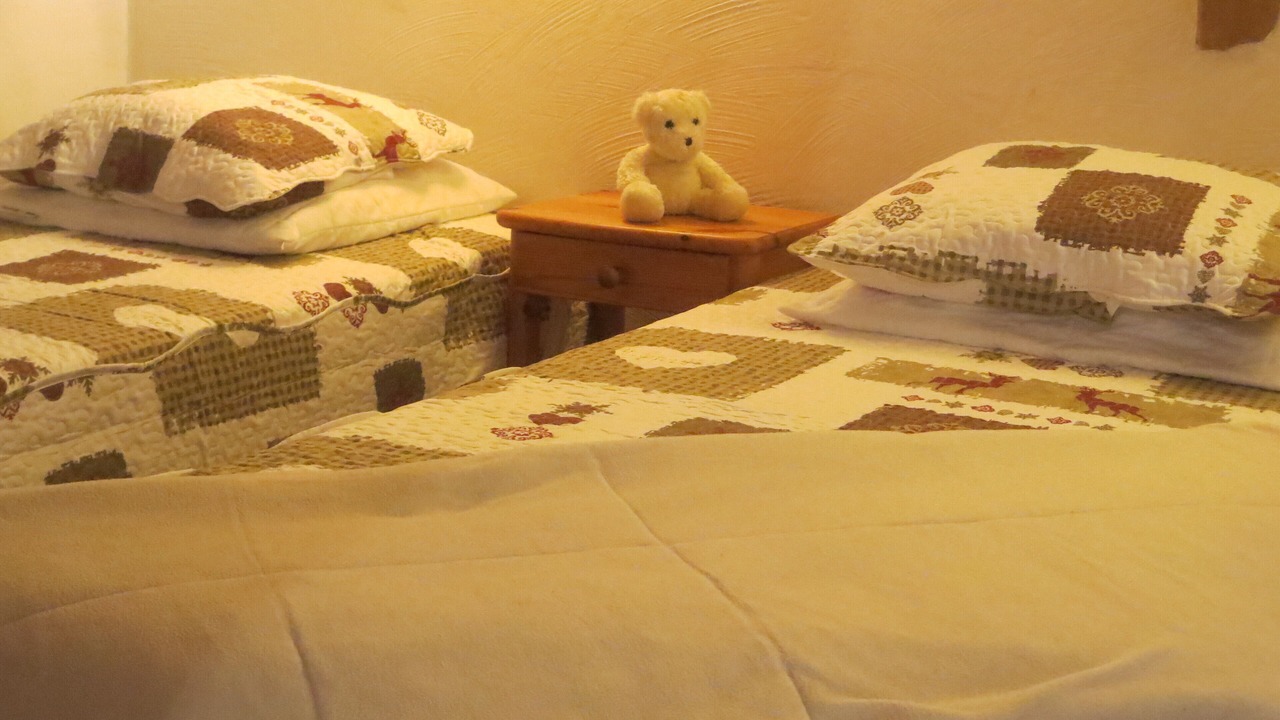 Photo of Bedroom in Montchavin