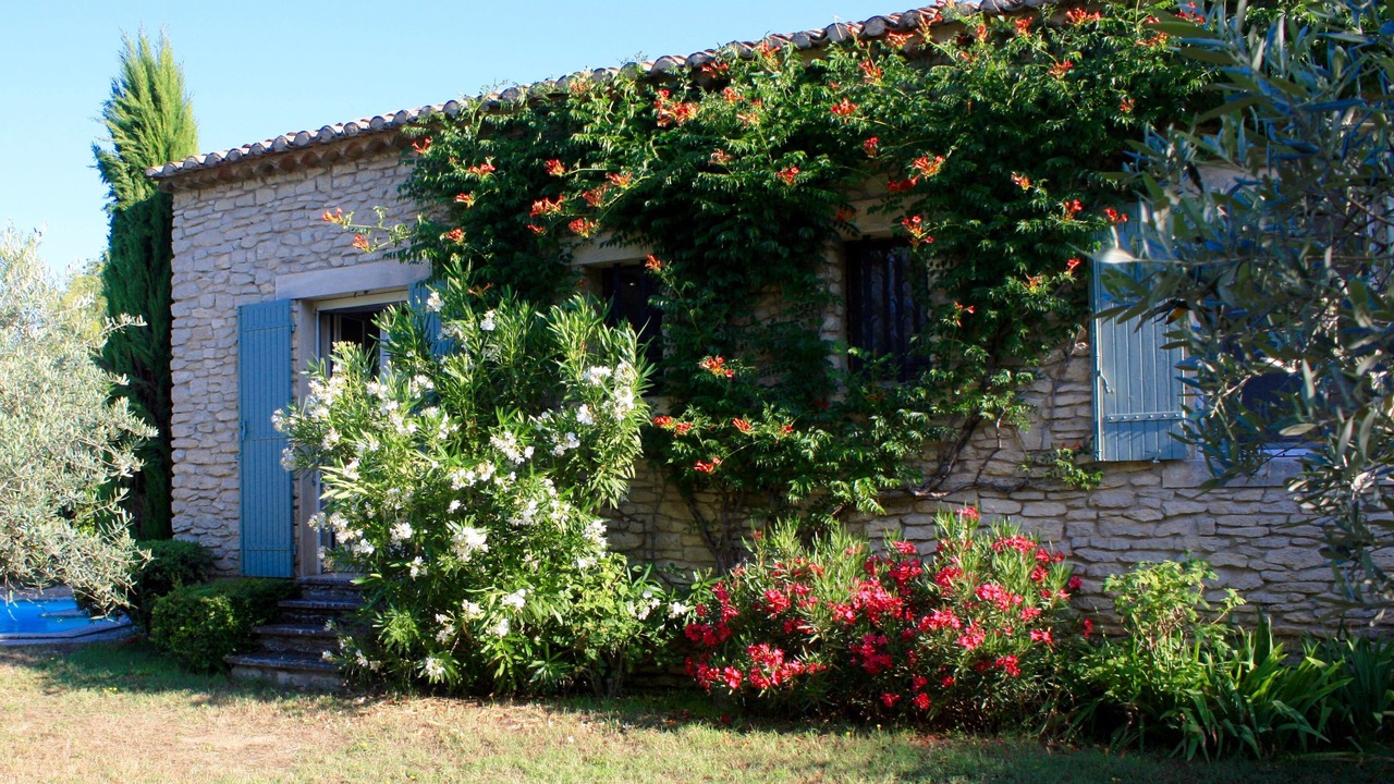 Photo of Others in Gordes