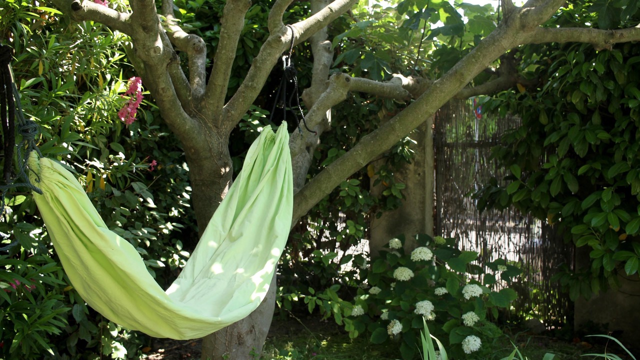 Photo of Outdoor in Morieres-les-Avignon