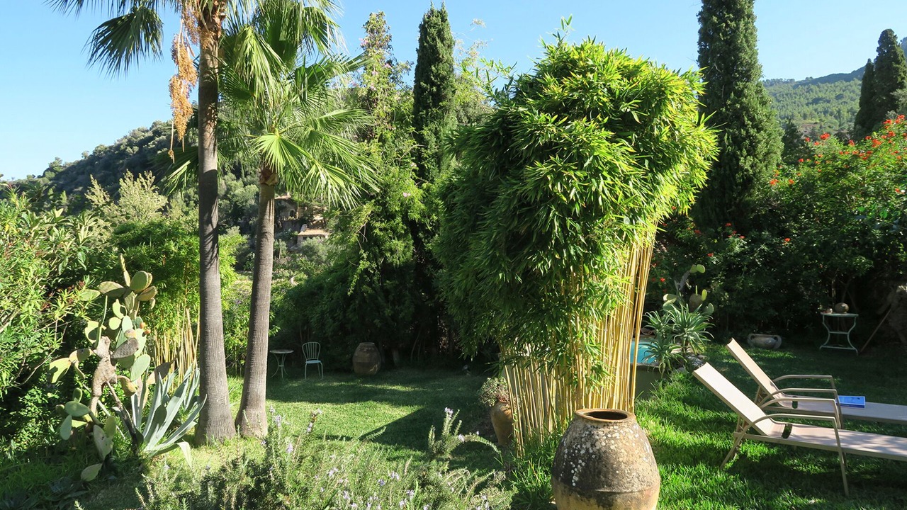 Photo of Outdoor in Deia