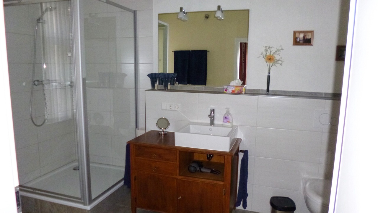Photo of Bathroom in Mainz-Bingen