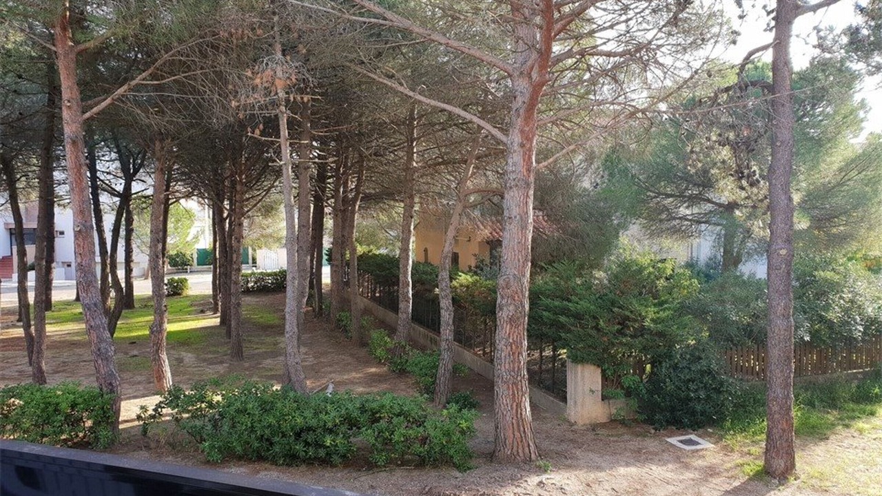 Photo of Outdoor in Argeles Plage