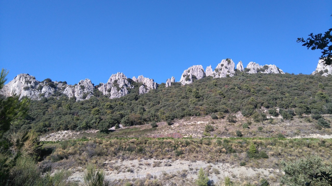 Photo of Outdoor in Cavaillon