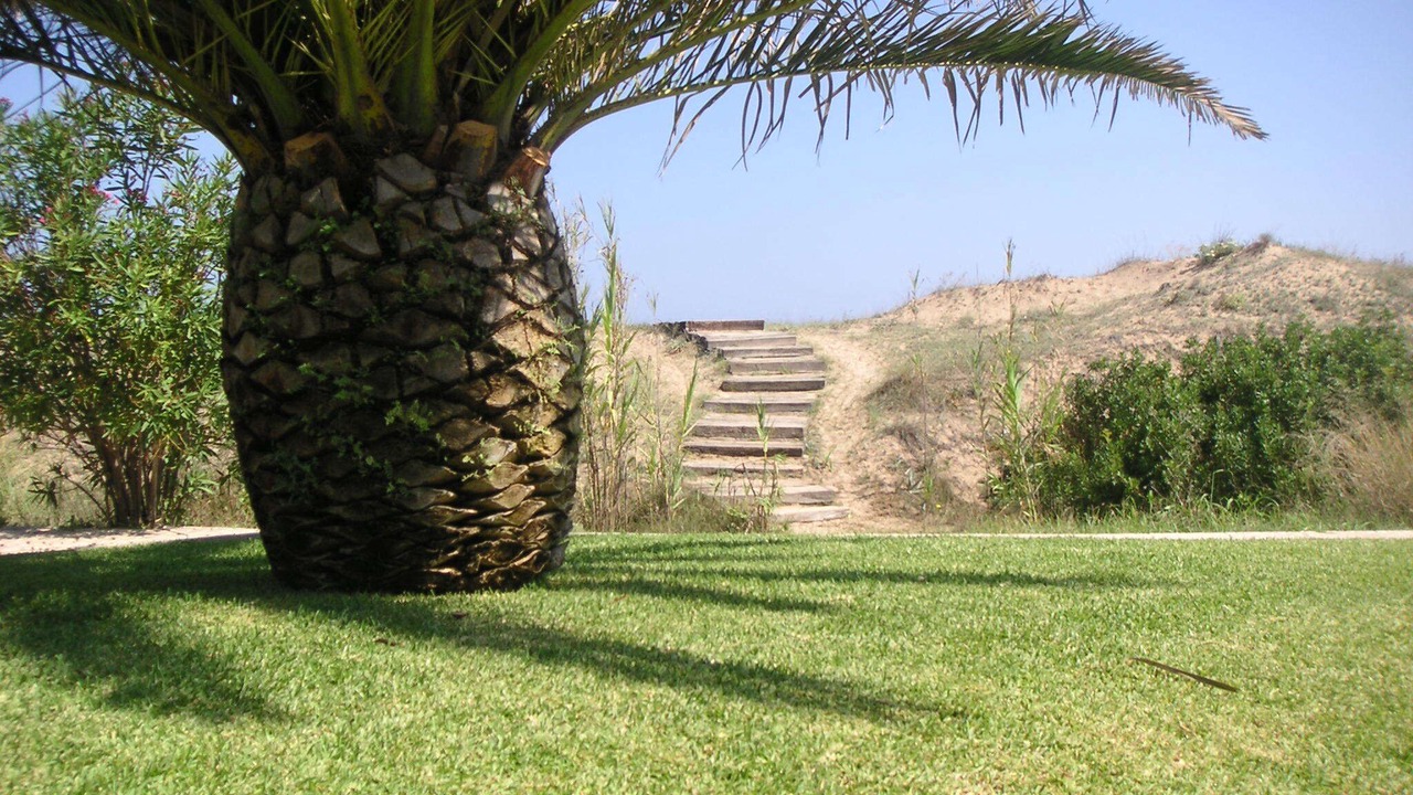 Photo of Outdoor in Oliva