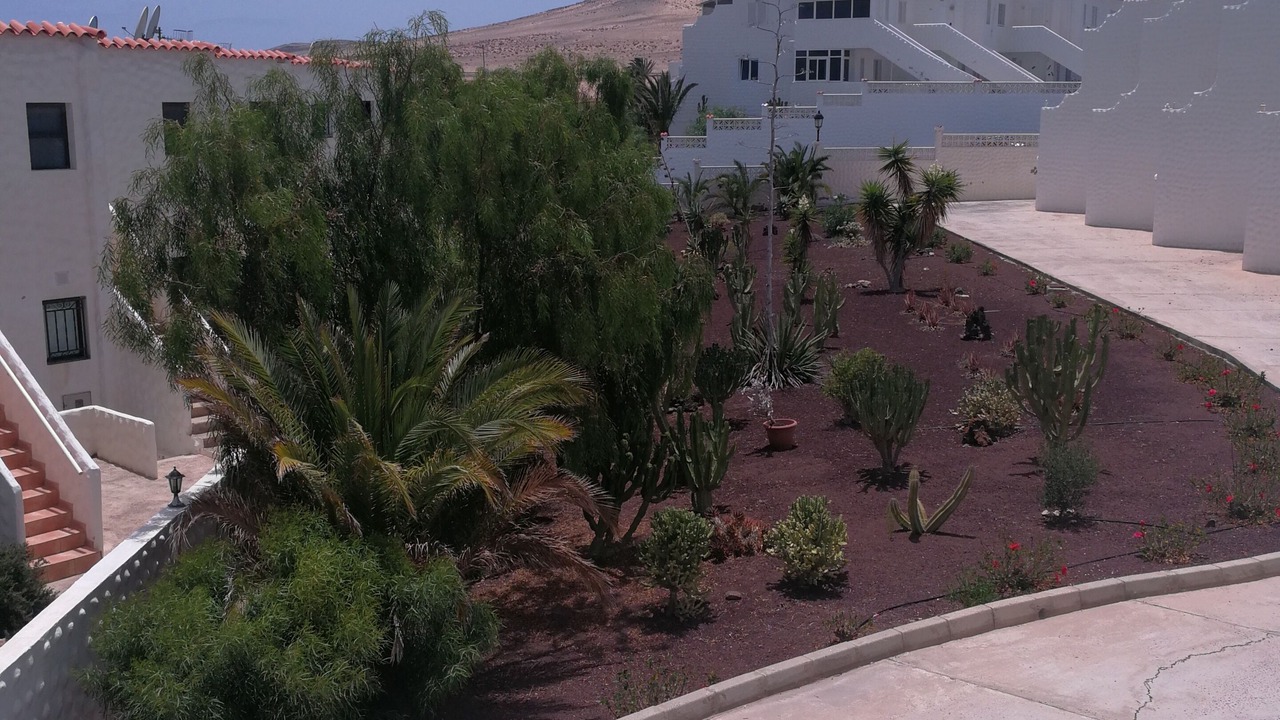 Photo of Outdoor in Bahia Calma