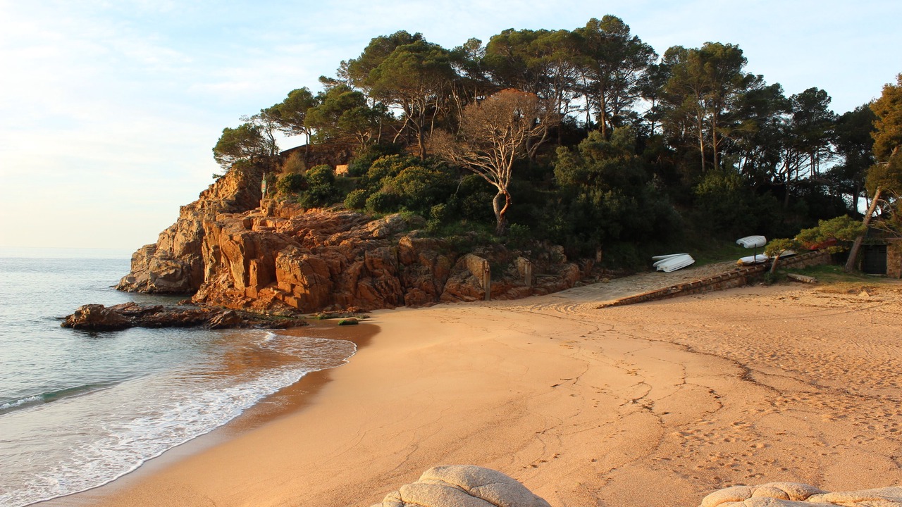 Photo of Others in Canyet de Mar