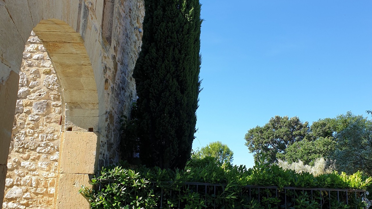 Photo of Outdoor in Garrigues-Sainte-Eulalie