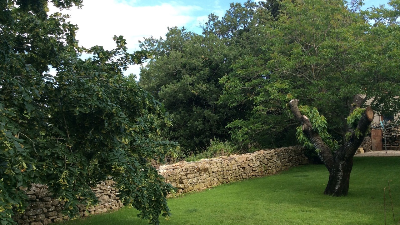 Photo of Outdoor in Pontes