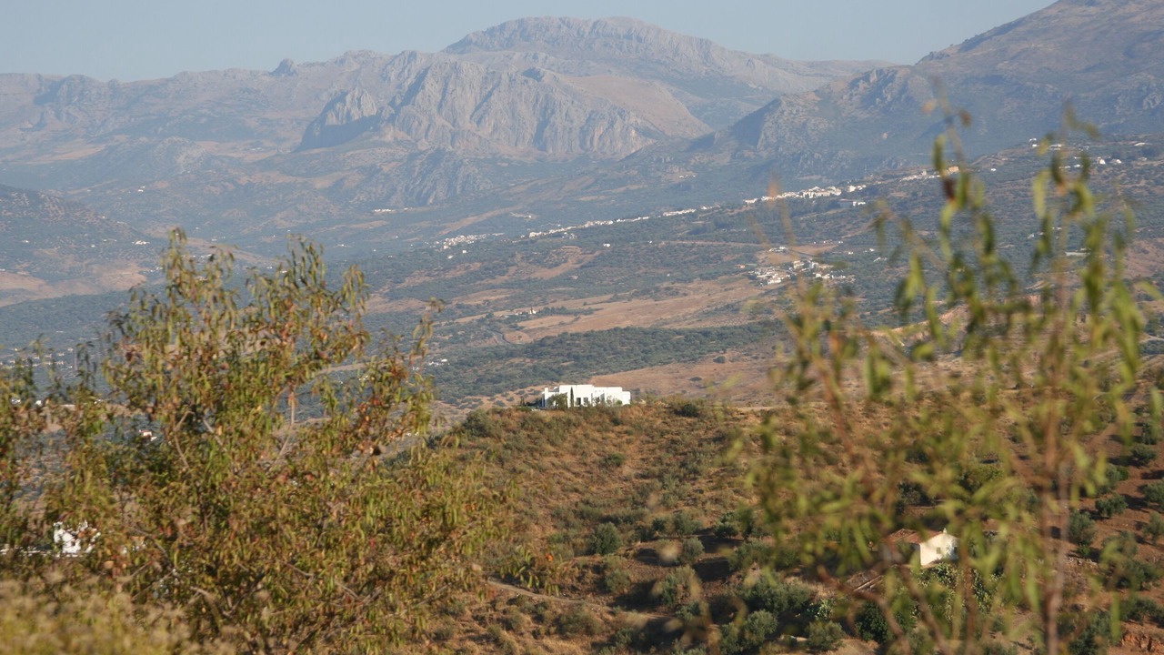 Photo of Others in Alcaucin