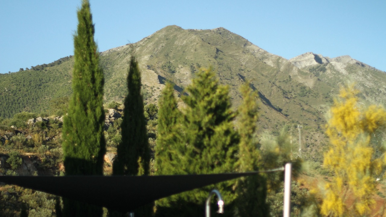 Photo of Others in Alcaucin