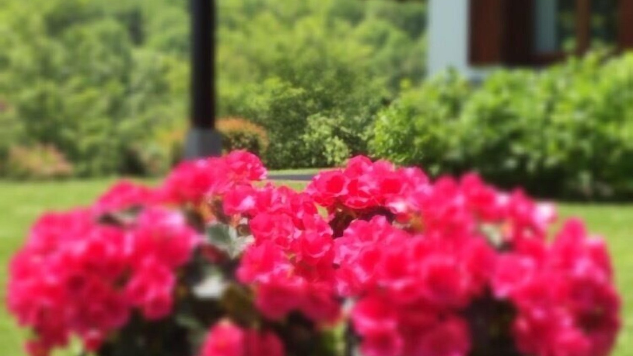 Photo of Outdoor in Larraun