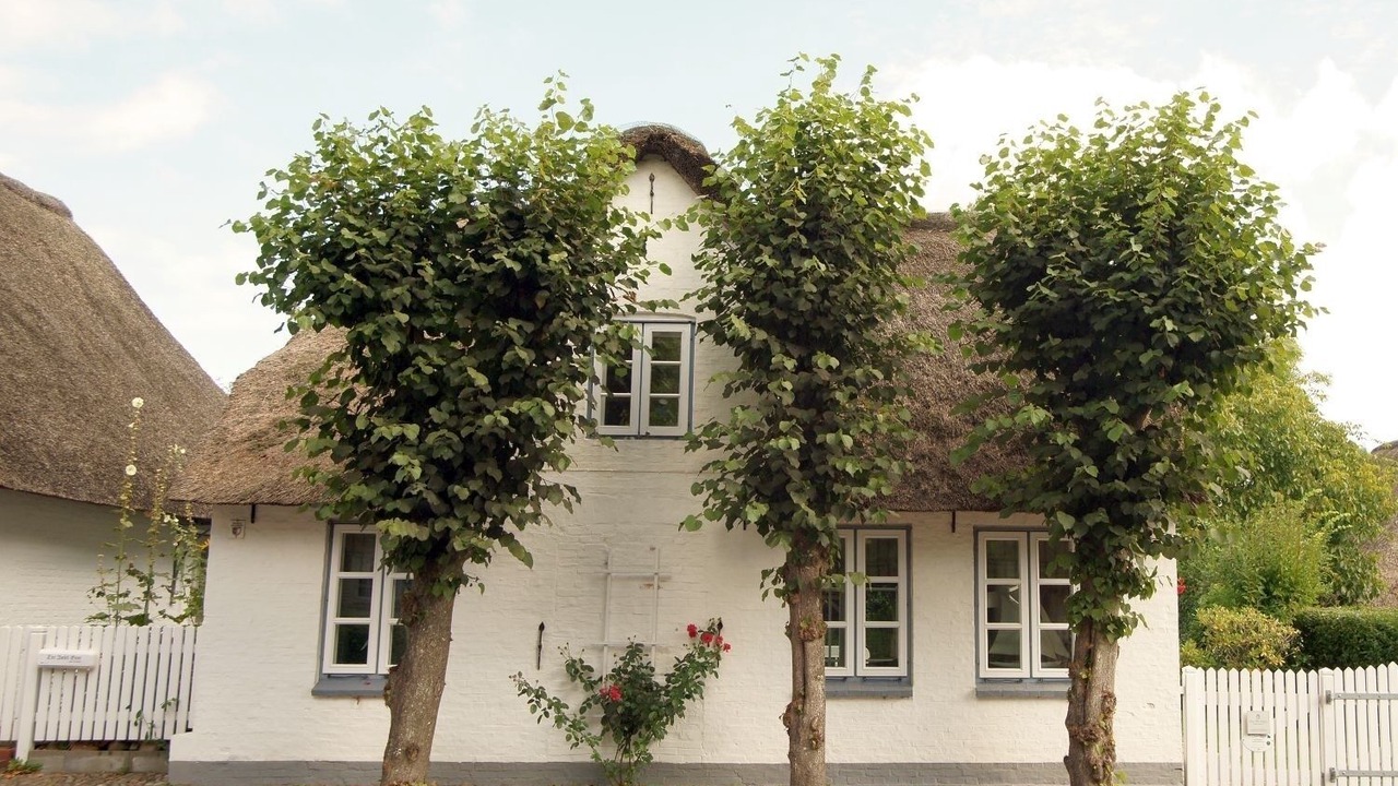 Photo of Outdoor in Wyk auf Foehr
