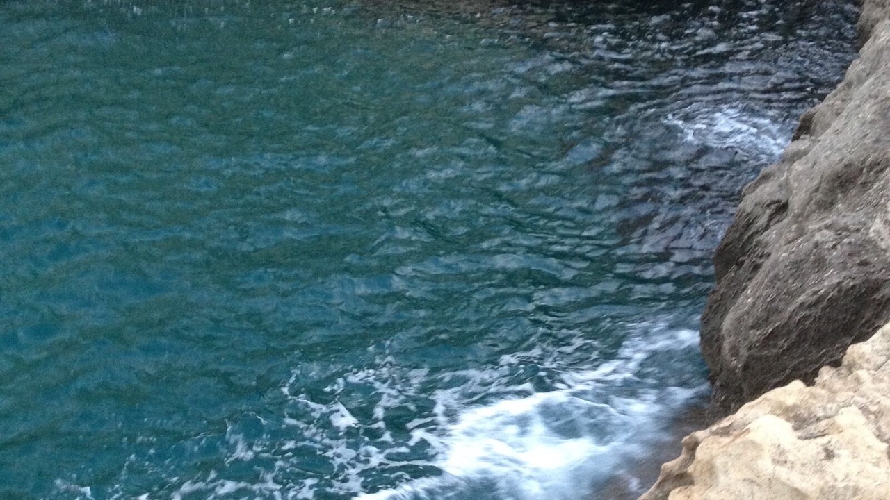 Photo of Others in Las Negras