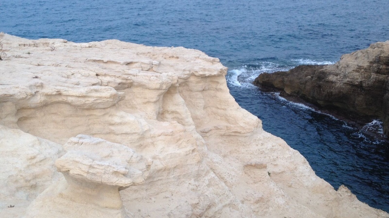Photo of Others in Las Negras