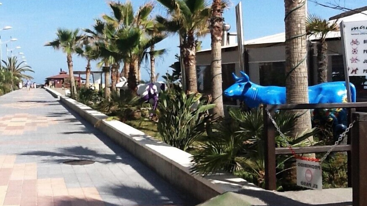 Photo of Others in Torrox Costa