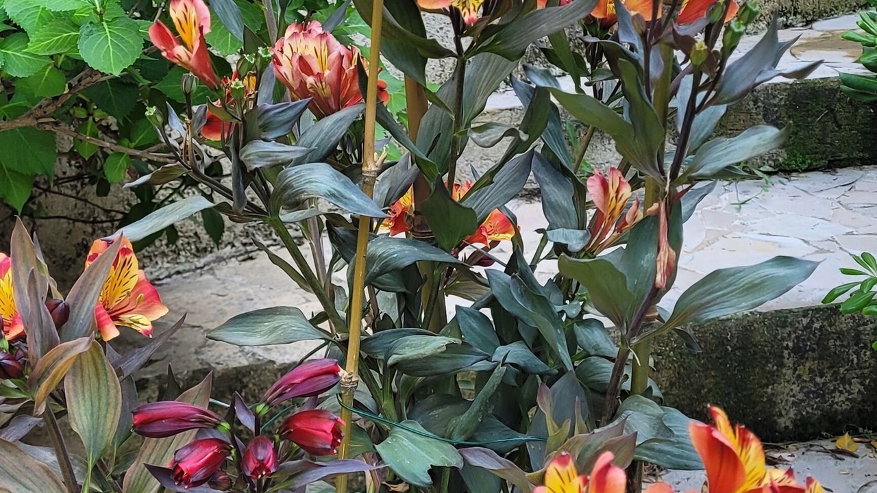 Photo of Outdoor in Senas