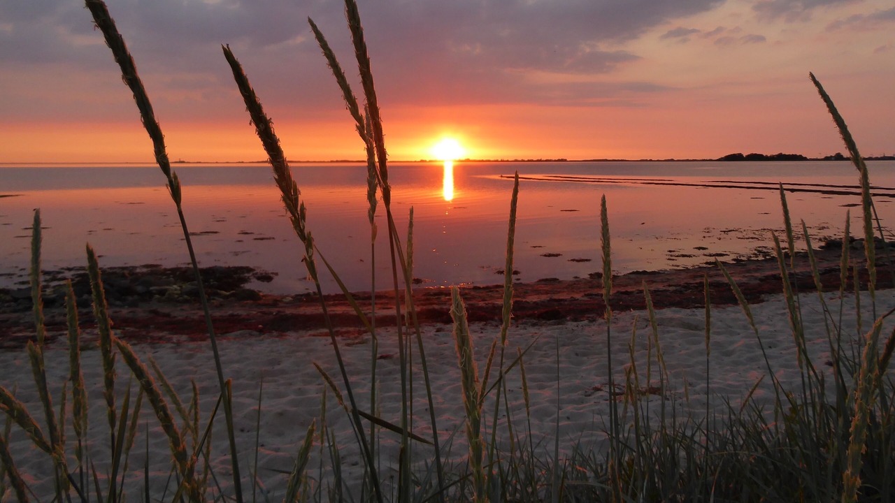 Photo of Others in Fehmarn