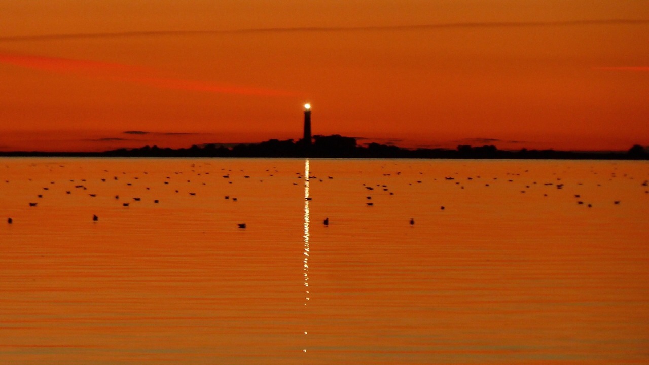 Photo of Others in Fehmarn