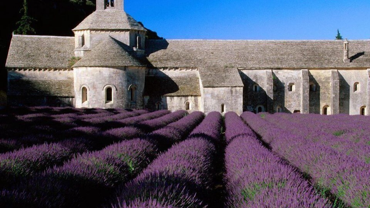 Photo of Others in Gordes