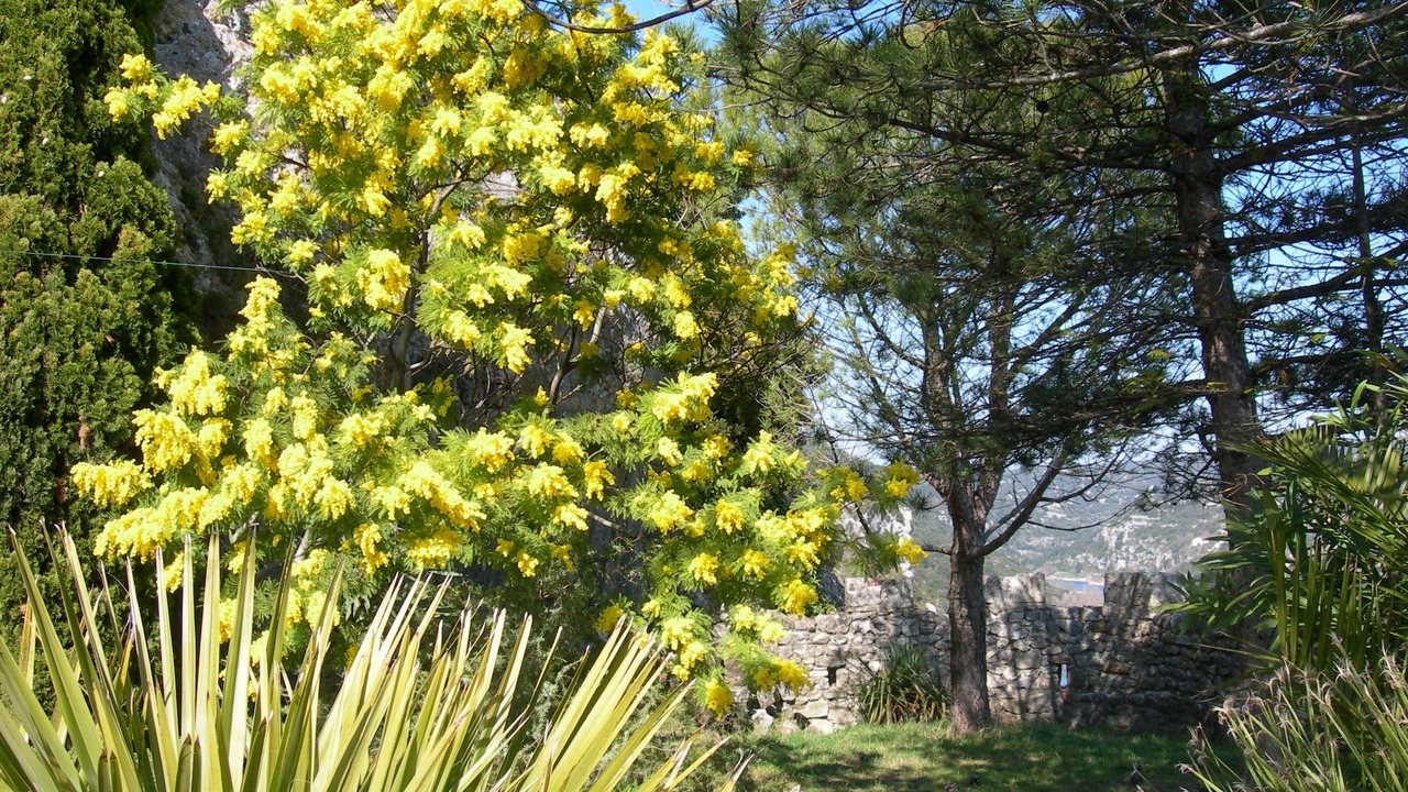 Photo of Outdoor in Aigueze