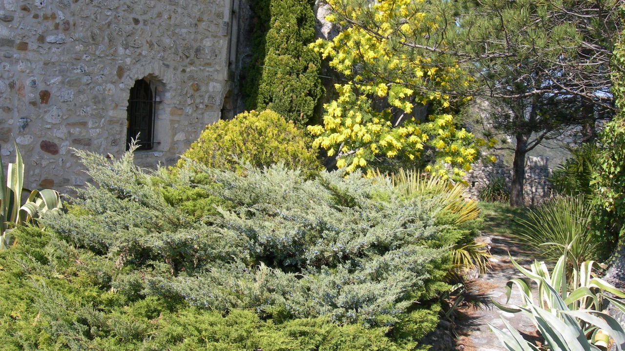 Photo of Outdoor in Aigueze