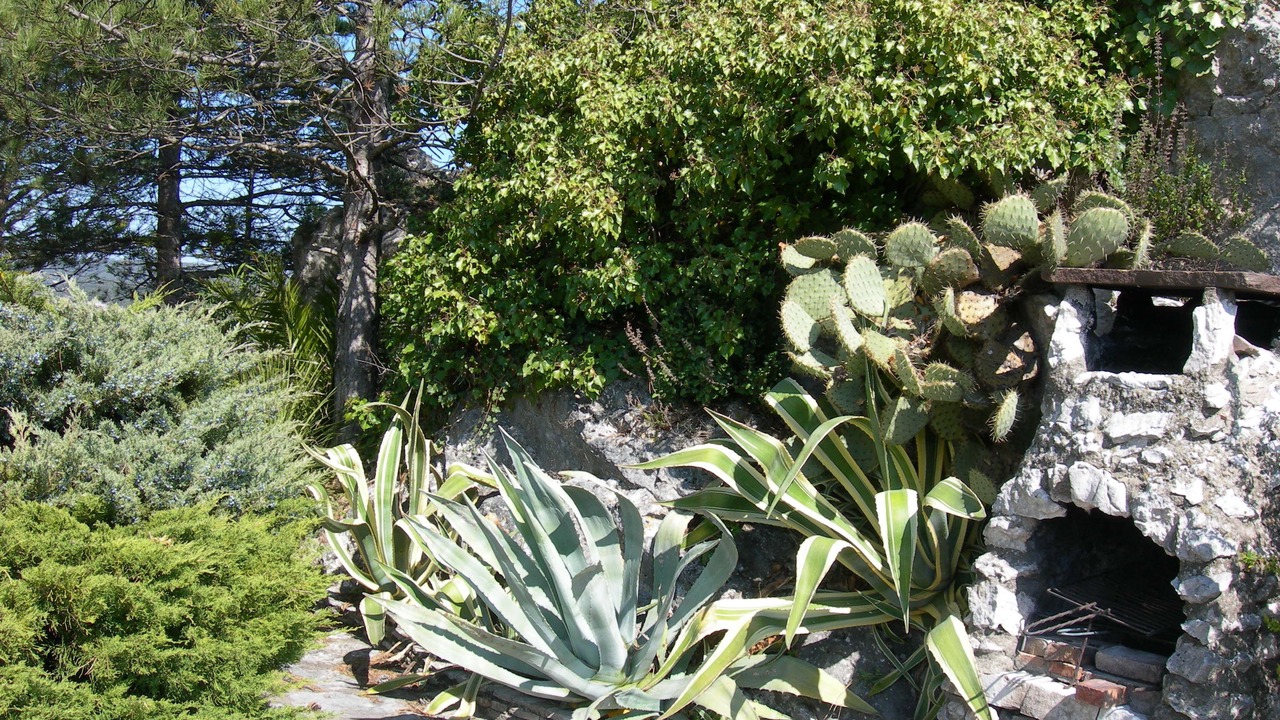 Photo of Outdoor in Aigueze