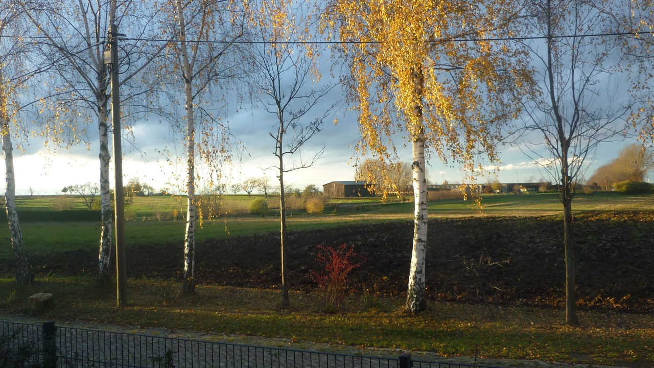 Photo of Outdoor in Utzberg