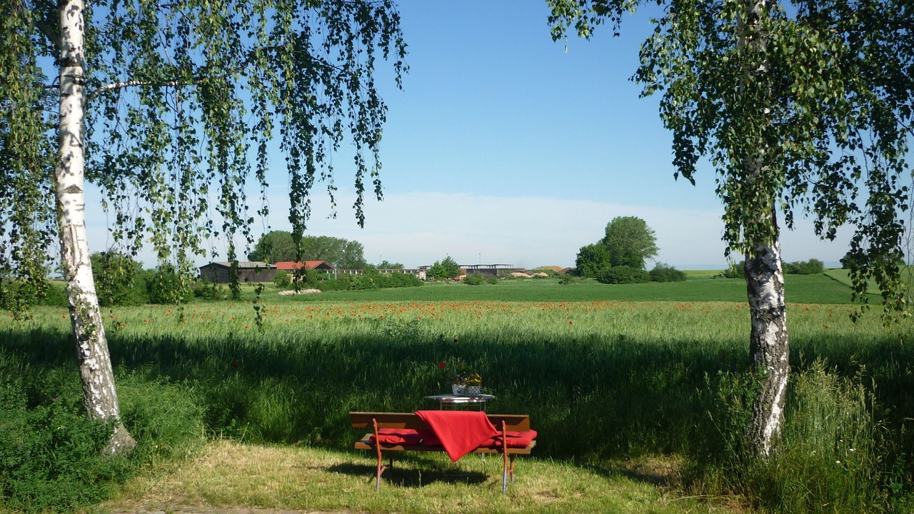 Photo of Outdoor in Utzberg