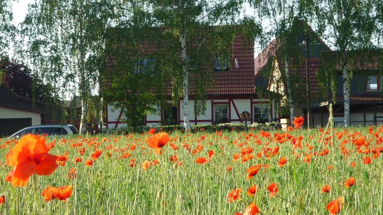 Photo of Outdoor in Utzberg