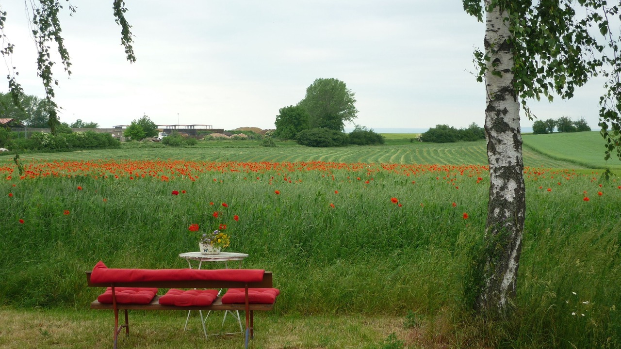 Photo of Outdoor in Utzberg