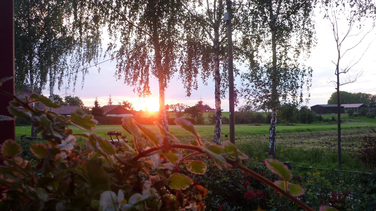 Photo of Outdoor in Utzberg