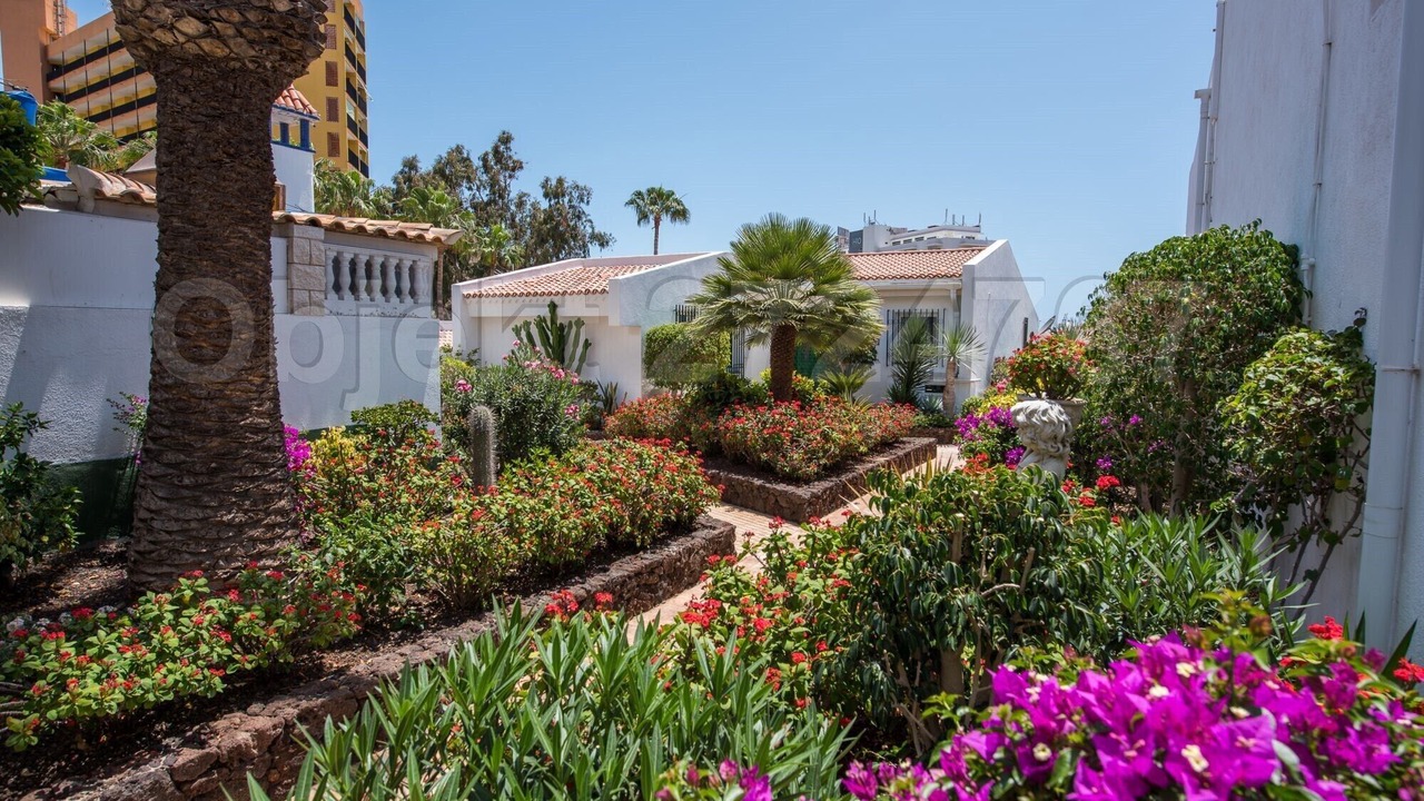 Photo of Outdoor in San Eugenio