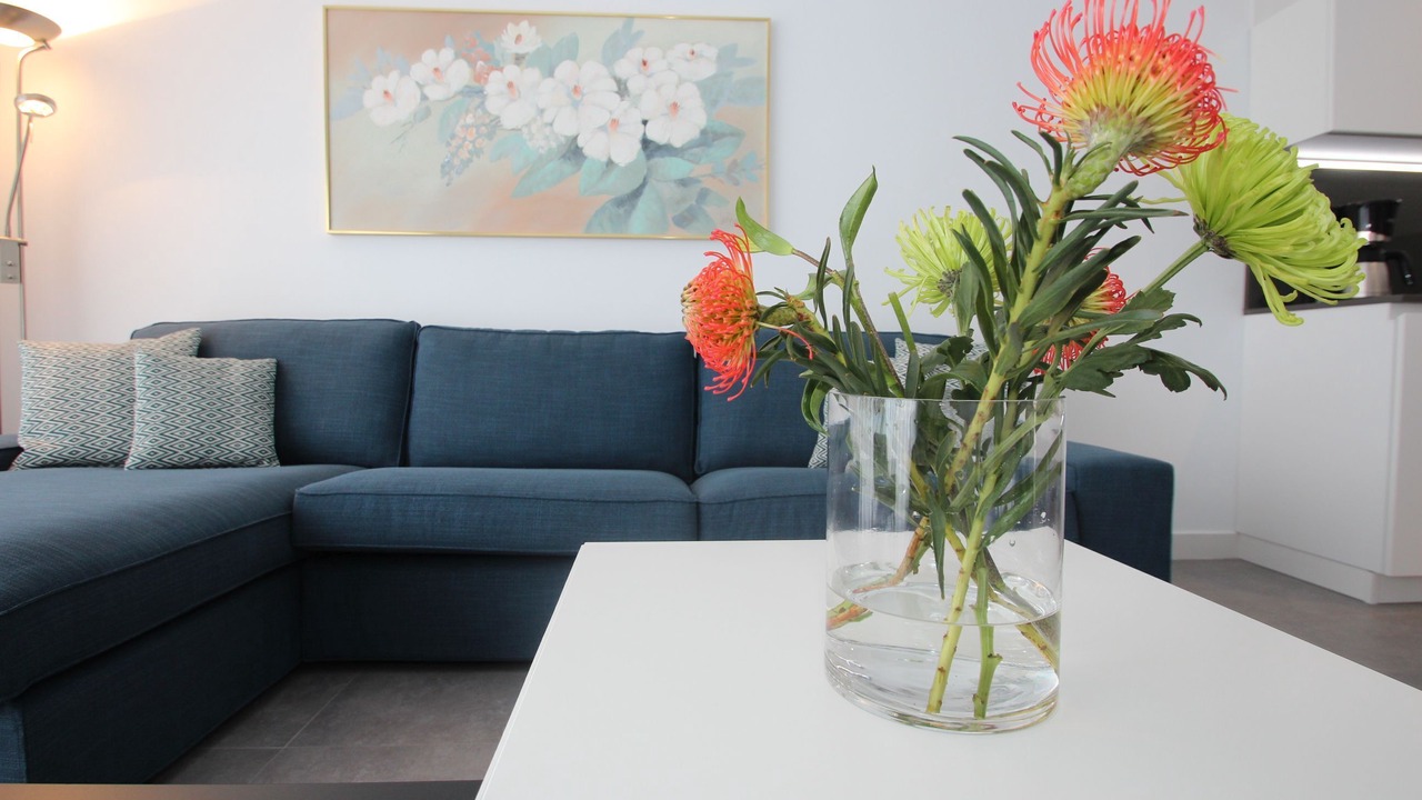 Photo of Livingroom in San Eugenio