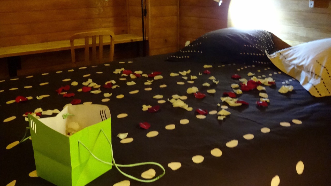 Photo of Bedroom in Collonges-sous-Saleve