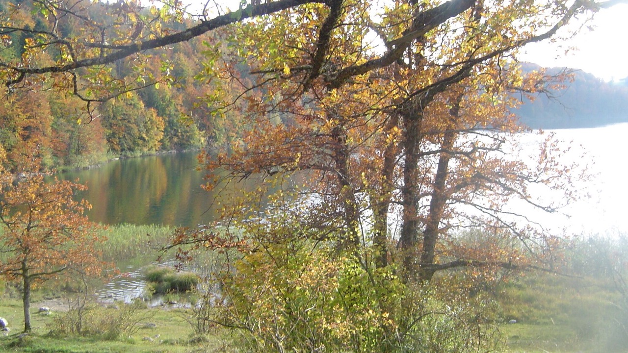 Photo of Outdoor in Bonlieu