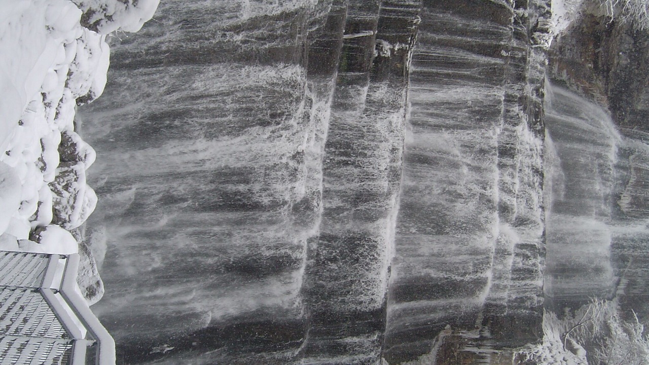 Photo of Others in Bonlieu