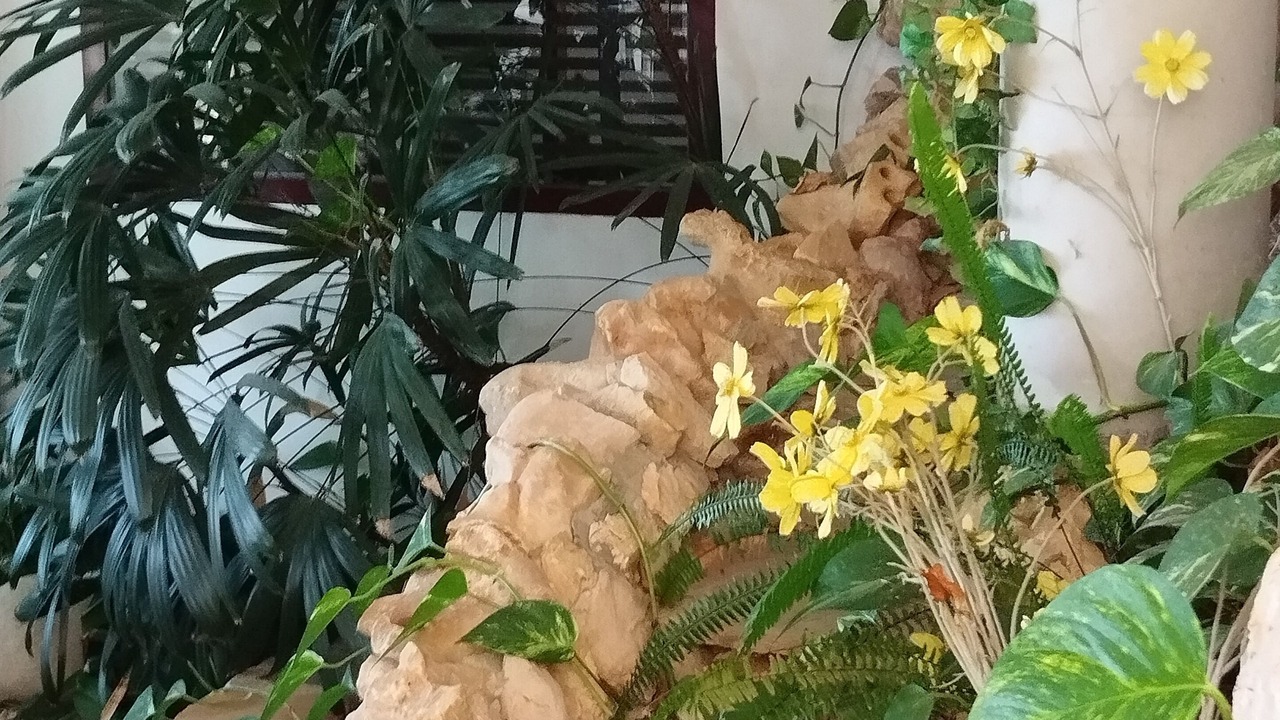 Photo of Outdoor in Altea la Vella