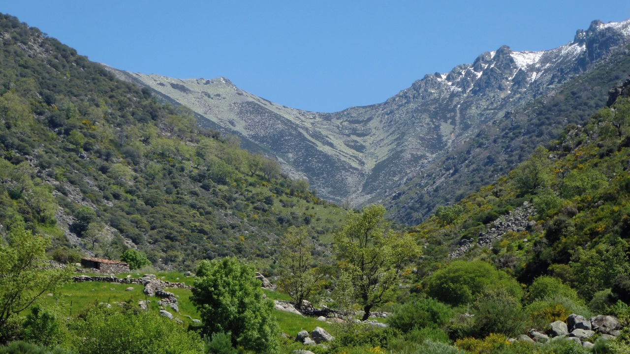 Photo of Others in Cuacos de Yuste